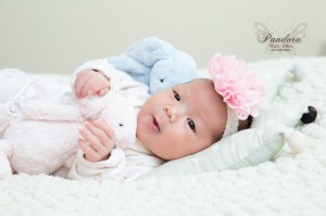 VIVI4347拷貝 